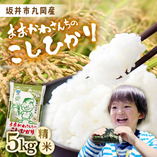 こしひかり 5kg 令和7年産 精米 ブランド米 コシヒカリ [A-10812]