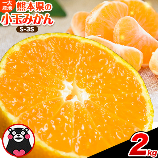 訳あり 小玉みかん 2kg 秋 旬 不揃い 傷 ご家庭用 SDGs たっぷり 熊本県 産 S-3Sサイズ フルーツ 柑橘 [9月下旬-12月下旬頃出荷]