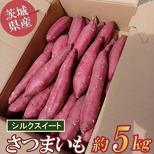 さつまいも 茨城県産 シルクスイート 5kg さつまいも