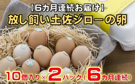 【6カ月連続お届け】放し飼い 土佐ジロー 卵 20個 卵 卵 卵 卵 卵 ［(H)1239］