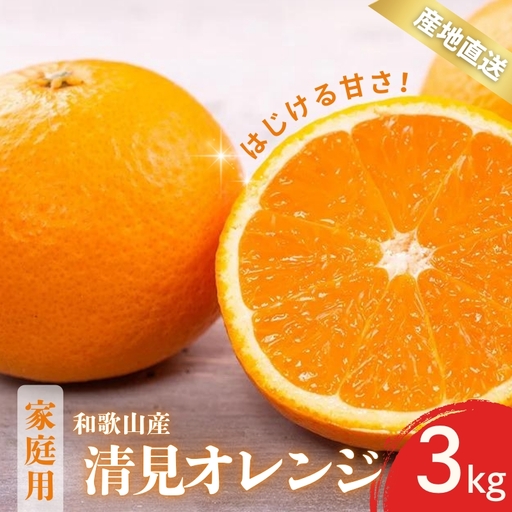 【先行予約】家庭用 訳あり きよみ 清見オレンジ 和歌山 有田 2S～3Lサイズ混合 3kg【2月上旬～3月下旬頃に順次発送】/ みかん フルーツ 果物 くだもの 蜜柑 柑橘【ktn041】