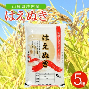令和7年産[精米]はえぬき 5kg×1袋 AK