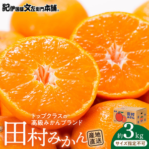 【2026年先行予約】田村みかん／特選ギフト品3kg【サイズ指定なし】_V7454