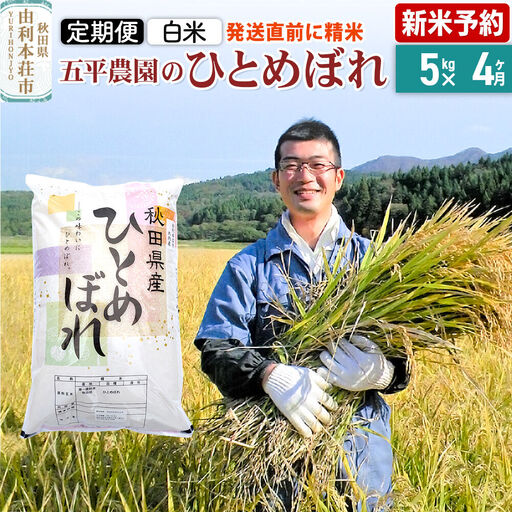 《令和8年産 新米受付》《定期便4ヶ月》【白米】ひとめぼれ 5kg 秋田県産 五平農園のひとめぼれ《12月上旬発送予定》