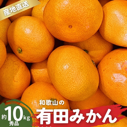 【12月発送】秀品 有田みかん 和歌山県産 S～Lサイズ 大きさお任せ 10kg / みかん フルーツ 果物 くだもの 有田みかん 蜜柑 柑橘【ktn003A-12】