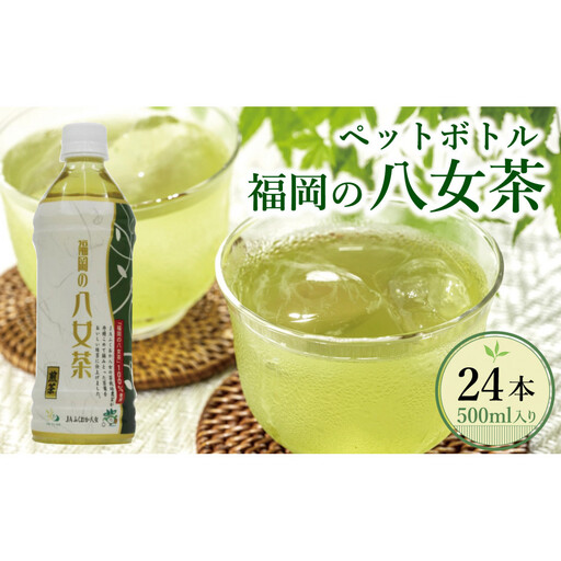【八女茶】煎茶ペットボトル 500ml×24本