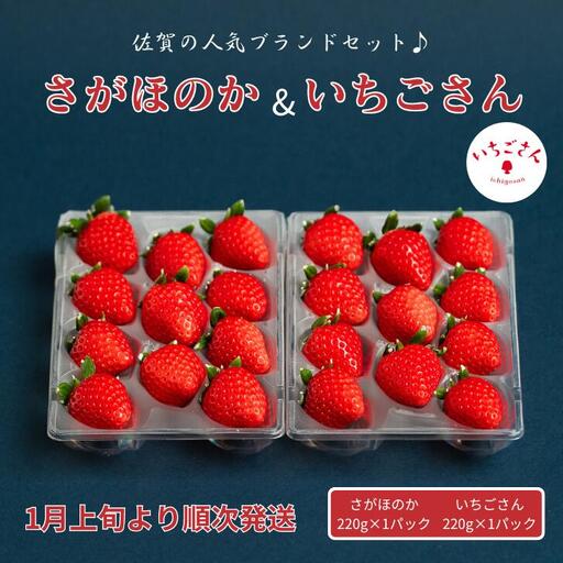2027年発送！数量限定！佐賀県産いちご さがほのか&いちごさんセット イチゴ 苺：B100-039