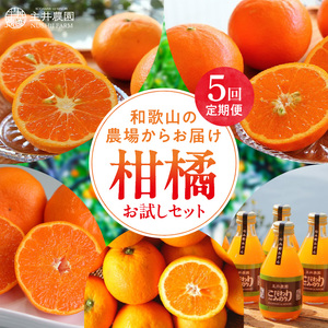お試し柑橘定期便[5回定期便]潮_ZS69008
