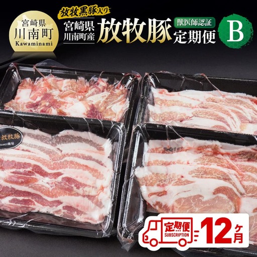 [12ヶ月定期便]宮崎県川南町産 放牧豚定期便B(放牧黒豚入り) [ 豚 肉 豚肉 黒豚 国産 九州産 宮崎県産 川南町 加工品 セット 送料無料 ]