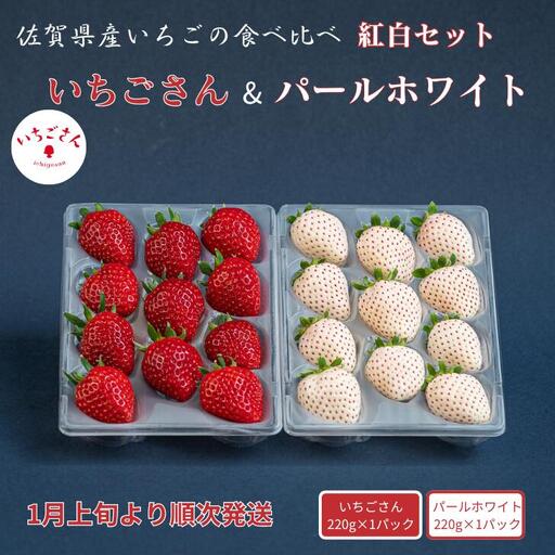 2027年発送！数量限定！佐賀県産いちご いちごさん&パールホワイト 紅白セット 苺 イチゴ：B140-083