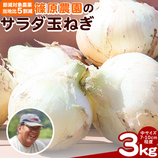 玉ねぎ サラダ 3kg 玉ねぎ