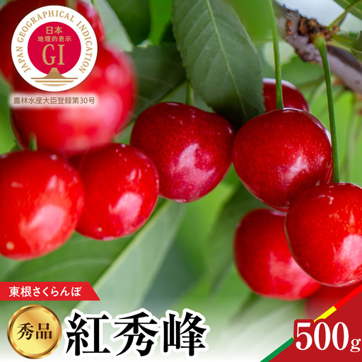 2027年産 GI東根 さくらんぼ 紅秀峰 秀品 500g さくらんぼ