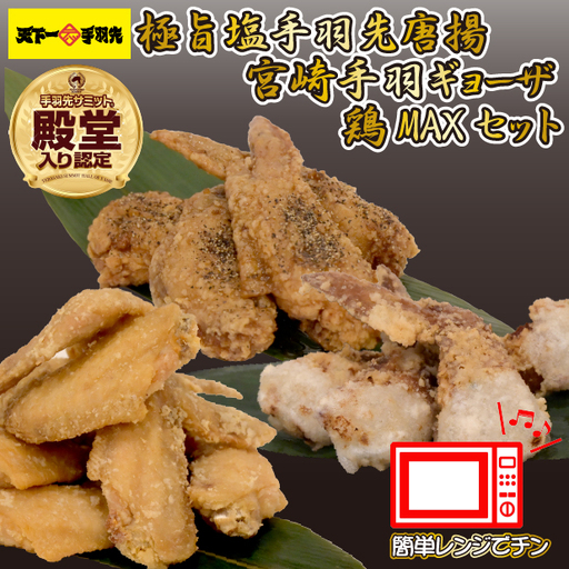 鶏肉 手羽 極旨塩手羽先唐揚げ 手羽ギョーザ 鶏MAX！セット