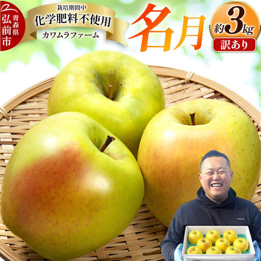 【26年10月下旬～発送】りんご 名月【訳あり】約3kg【先行受付】カワムラファーム 青森県 弘前市 果物 フルーツ 林檎 リンゴ くだもの 不揃い 規格外