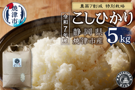 令和７年産 目減り 農薬7割減 特別栽培 コシヒカリ 白米5kg (a13-155)