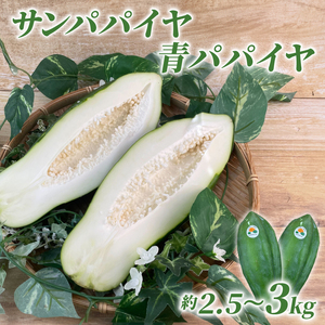 青 パパイヤ  約 2.5 kg ~ 3 kg 野菜 パパイヤ 