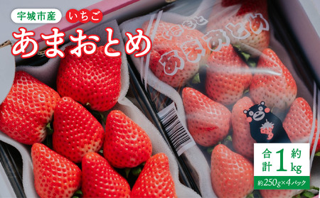 先行予約【2027年1月発送】 いちご あまおとめ 約1kg（約250g×4パック）
