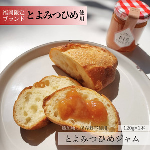 行橋産とよみつひめ使用 とよみつひめのジャム 120g×1本