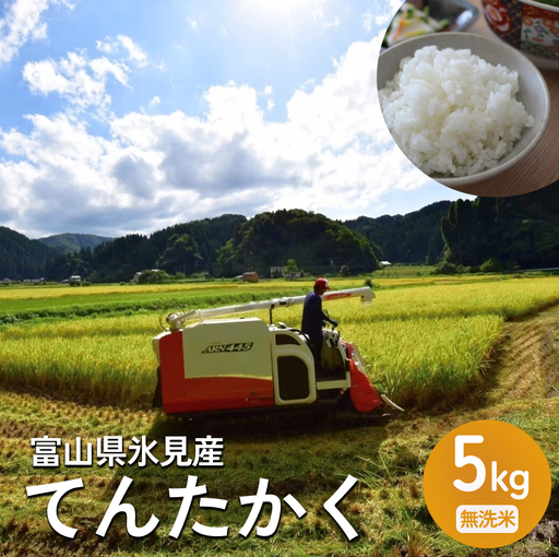 〈無洗米〉 米 令和7年産 富山県氷見産 てんたかく 5kg