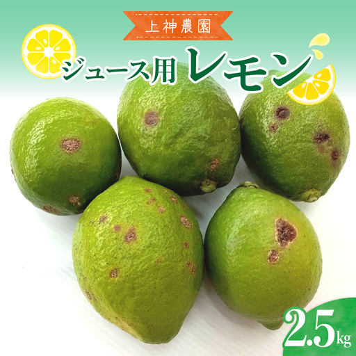 [先行受付][2026年11月〜発送]ジュース用 レモン 約2.5kg