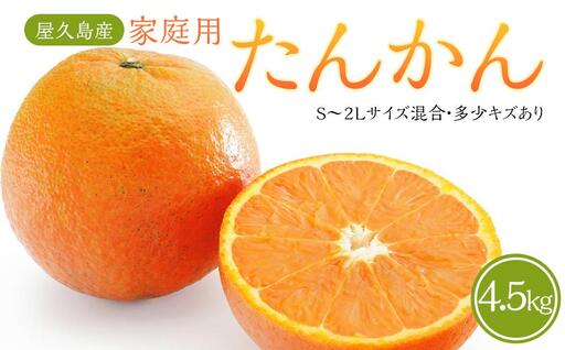 【2027年3月初旬以降発送】屋久島産 家庭用 たんかん 4.5kg バラ（S～2Lサイズ混合・多少キズあり）｜たんかん