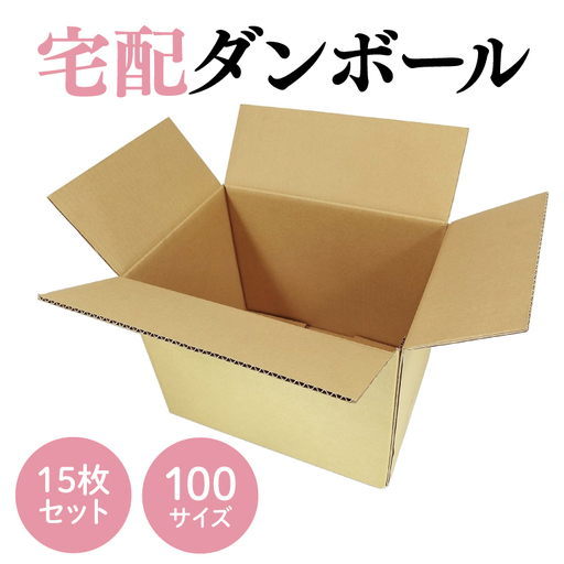 ダンボール 宅配 100サイズ 15枚セット【埼玉県 春日部市 収納 箱 梱包 宅急便 引っ越し 丈夫 厚手】(CX003)