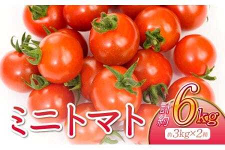 先行予約 ミニトマト 約3kg×2箱 合計約6kg[2026年11月下旬〜2027年5月上旬頃発送予定]