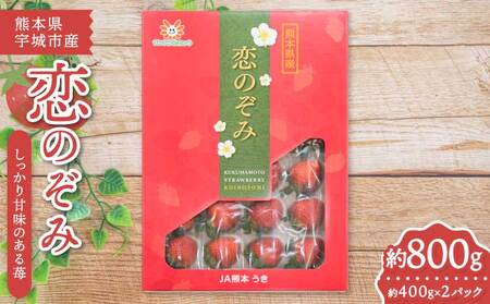 先行予約 恋のぞみ 約400g×2パック 合計約800g[2026年12月上旬〜2027年3月下旬頃発送予定]サンサンうきっ子宇城彩館