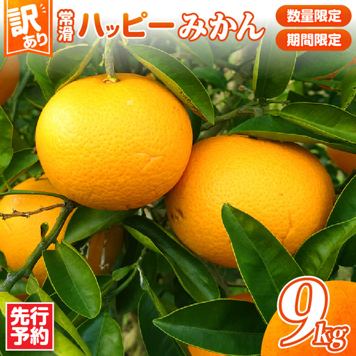 【先行予約】【訳あり】常滑ハッピーみかん 9kg