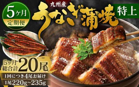【5ヶ月定期便】九州産 うなぎ蒲焼 特上 4尾 (1尾あたり220～235g)  合計20尾 たれ 山椒 鰻 ウナギ 蒲焼き 国産 冷凍 鹿児島、宮崎、熊本等産うなぎ原料使用