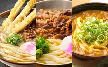 資さん 食べ比べセット（肉ごぼ天うどん・肉うどん・カレーうどん）各1人前 3種 合計3人前 黄金のつゆ かまぼこ 牛肉 昆布 かつお