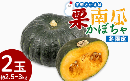 栗かぼちゃ 2玉 約2.5〜3kg [かぼちゃ 野菜 かぼちゃ やさい かぼちゃ 旬 かぼちゃ 国産 かぼちゃ 人気 かぼちゃ おすすめ] sy-0008