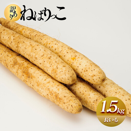 [訳あり]ねばりっこ1.5kg 長芋 ながいも 鳥取県産 ※期間限定11月上旬から5月下旬頃に順次発送予定