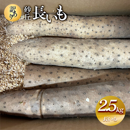 943.[訳あり]砂丘長いも2.5kg 長芋 ながいも 鳥取県産≪野菜 やさい≫※11月上旬頃〜5月下旬頃に順次発送予定