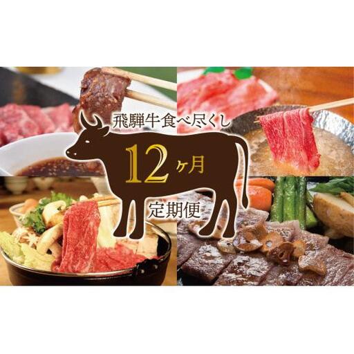 【12か月定期便】飛騨牛食べ尽くし