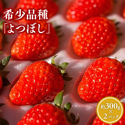 いちご よつぼし 約300g×2パック 【hi-0028-005】