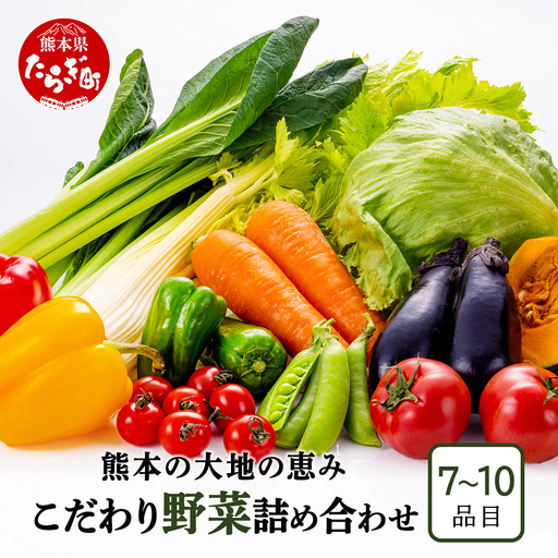 熊本の大地の恵み 旬の こだわり野菜詰め合わせセット 7〜10品 （3〜4名様向け）野菜 獲れたて 新鮮 野菜 セット 詰め合わせ 詰合せ 産地 直送 国産 季節 野菜 野菜セット やさい 家族 ファミリー 多良木町 024-0809