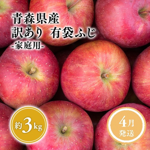りんご 有袋ふじ 家庭用 約3kg りんご