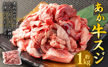 ＜ R8年熊本地震復興支援 ＞あか牛 スジ 約1kg 熊本 牛肉 国産 国産牛 赤牛 すじ肉 牛すじ