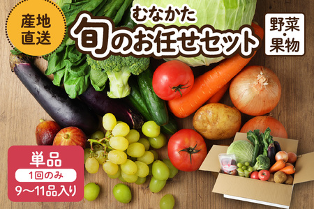 むなかた旬のお任せ セット 野菜 フルーツ 9〜11品 _HA1570 | 詰め合わせ