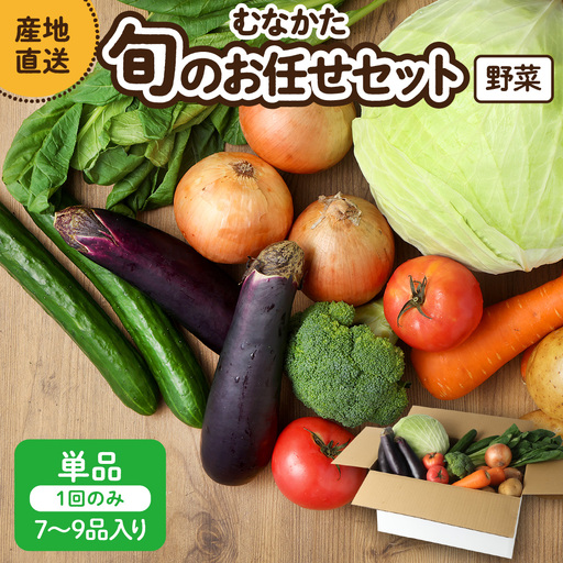 むなかた旬のお任せセット 野菜 7〜9品 _HA1569 | 野菜セット