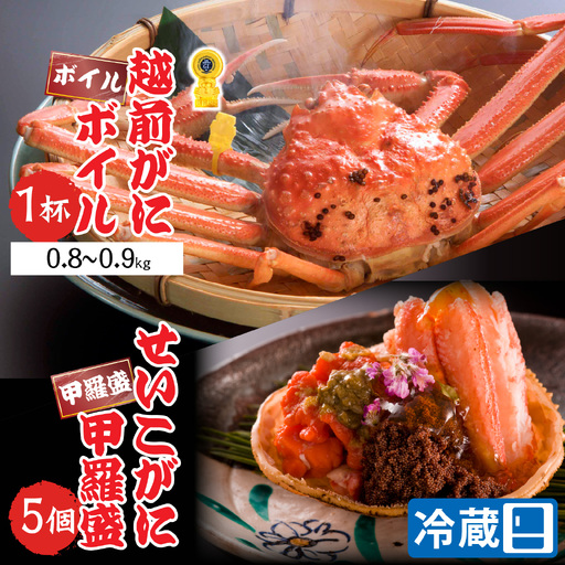 【先行予約】【蟹問屋 越前田村屋 究極の逸品】越前がに （ズワイ） 0.8-0.9kg 1杯セイコがに甲羅盛 5個セット [K-029021] / せいこがに