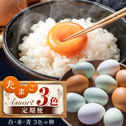 たまご 卵 3色 アソート 定期便 3回 白玉 赤玉 青玉 食べ比べ 君津市産 | 菜の花エッグ 菜の花たまご 三枝農場 保坂農場 アローカナ