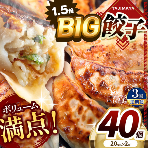 【定期便3回】たじまやオリジナルビッグ餃子 40個  