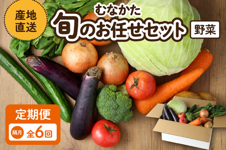 [奇数月お届け]むなかた旬のお任せセット(野菜) 7〜9品[ほたるの里]