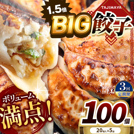 【定期便3回】たじまやオリジナルビッグ餃子 100個