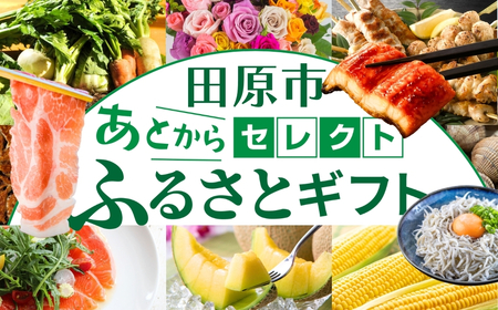 ＼約500品から選べる／あとから選べる！オンラインカタログ あとからセレクト カタログ