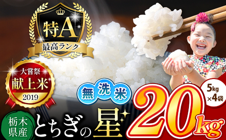 栃木県産 とちぎの星 無洗米 20kg |  お米 米 こめ おにぎり ごはん ご飯 令和6年産 栃木県 真岡市 ブランド米 