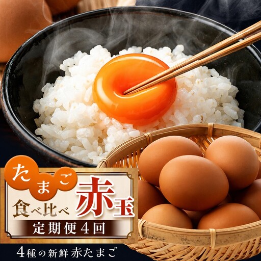 たまご 赤玉 食べ比べ 便 4回 定期便 食べ比べ 君津市産 卵 10月以降順次発送開始 