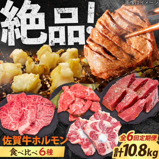 【全6回定期便】佐賀牛6種食べ比べ！ ホルモンバラエティセット 10.8kg 4-5人前  タン・小腸など 吉野ヶ里町/やきとり紋次郎[FCJ105]